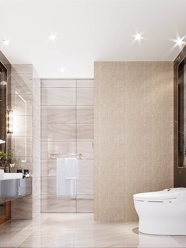 toilet1